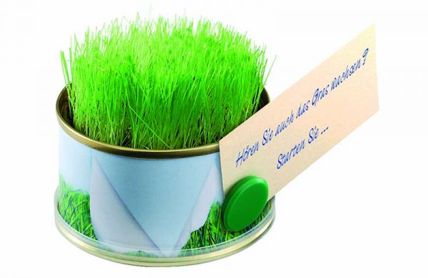Mini Garten Gras