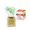 Pflanz Holz Weihnachten