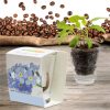 Pflanze im Glas Ambiente