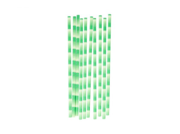 Bambus Trinkhalm-Set, grünes Bambus Design