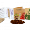 Pflanze am Stil Ecostick aus Holz