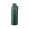 Ocean-Bottle grün