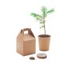Kiefer-Growtree