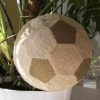 Fußball aus Pflanzen Ambiente