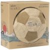 Fußball aus Pflanzen im Karton