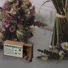 Samenbomben Wildblume mit Blüten