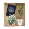 Verpackter Briefkastenbaum - Treemore