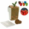 Tasse mit Kirschtomatensamen
