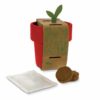 Tasse mit Kirschtomatensamen in rot