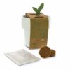 Tasse mit Kirschtomatensamen in weiss