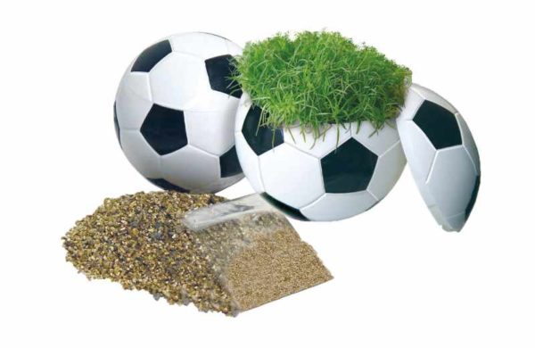 Fußball mit Rasen