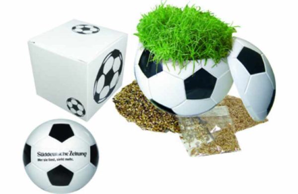 Fußball mit Rasen Verpackung