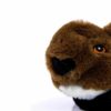 Hundespielzeug Biber aus rPET Detail Auge