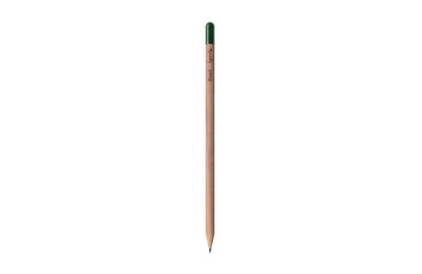 Bleistift mit Samen Basilikum