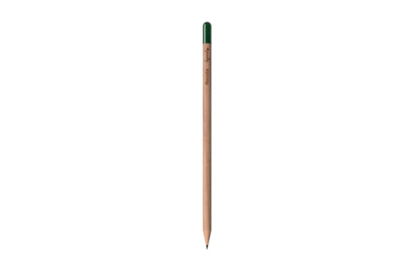 Bleistift mit Samen Rucola