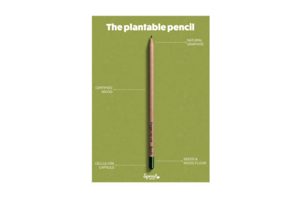 Bleistift mit Samen erklärung