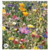 Lanyard aus Samenpapier Blumen statt Müll